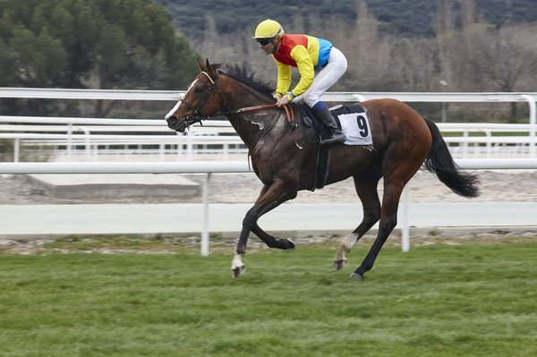 Quinté de demain : Les surprises possibles à ne pas négliger