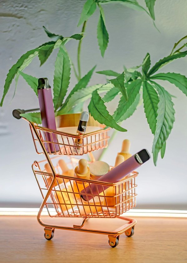 Mal de dos : cbg vs cbd, lequel choisir pour soulager la douleur ?