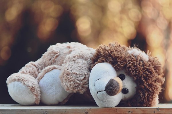 Les bonnes raisons d'offrir une peluche lionne à un enfant