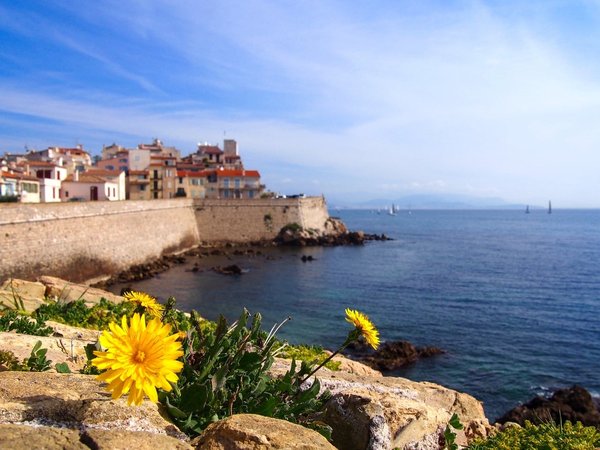 Visiter Antibes : une découverte ensoleillée de la Côte d'Azur Française